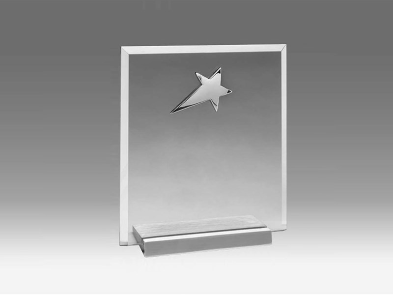 Plaque with Silver Star and silver base